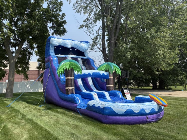 Surf's Up Dual Lane Slide
