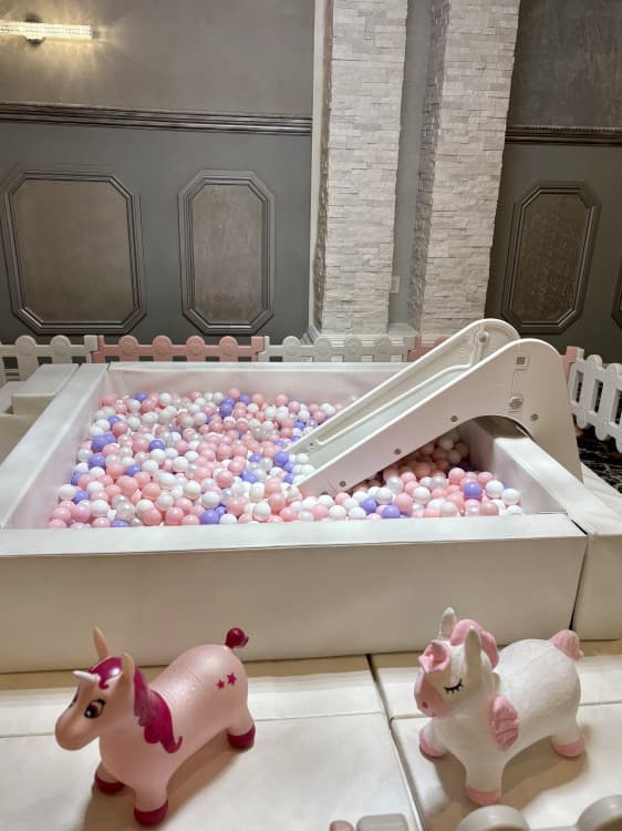 Soft Play & 7' by 7'  Ball Pit (Without Bounce House)