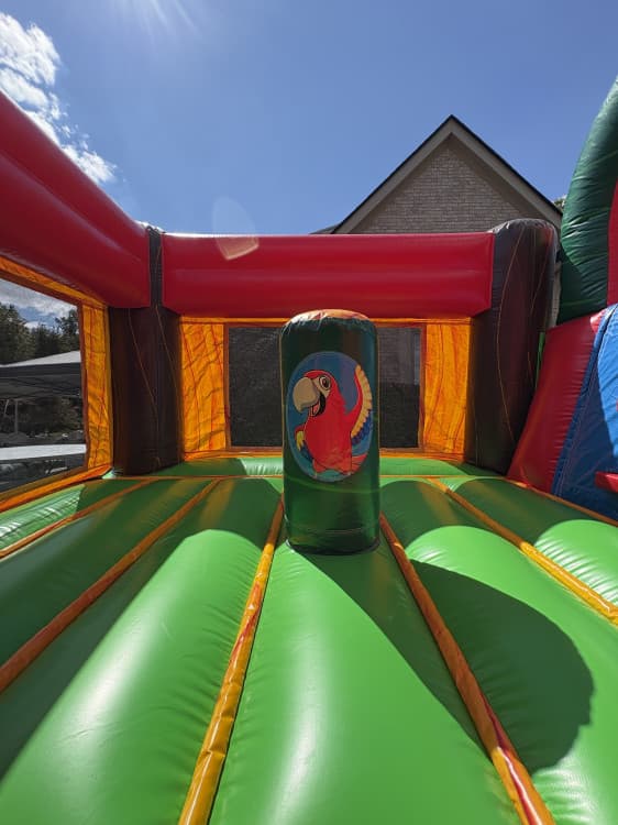 Jungle Time Mini Kid's Combo (7 Years and Under)