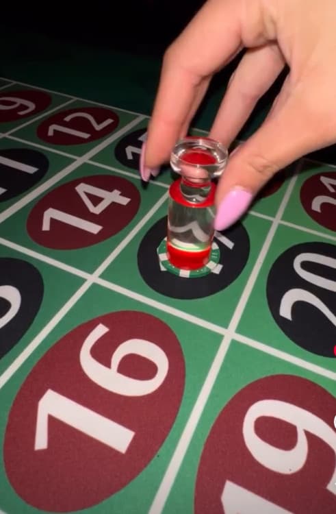 Professional Roulette Casino Table