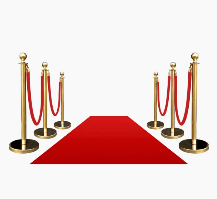 Crowd Control & Stanchions